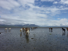 Iceland-West-Magical and Mysterious Snaefellsnes